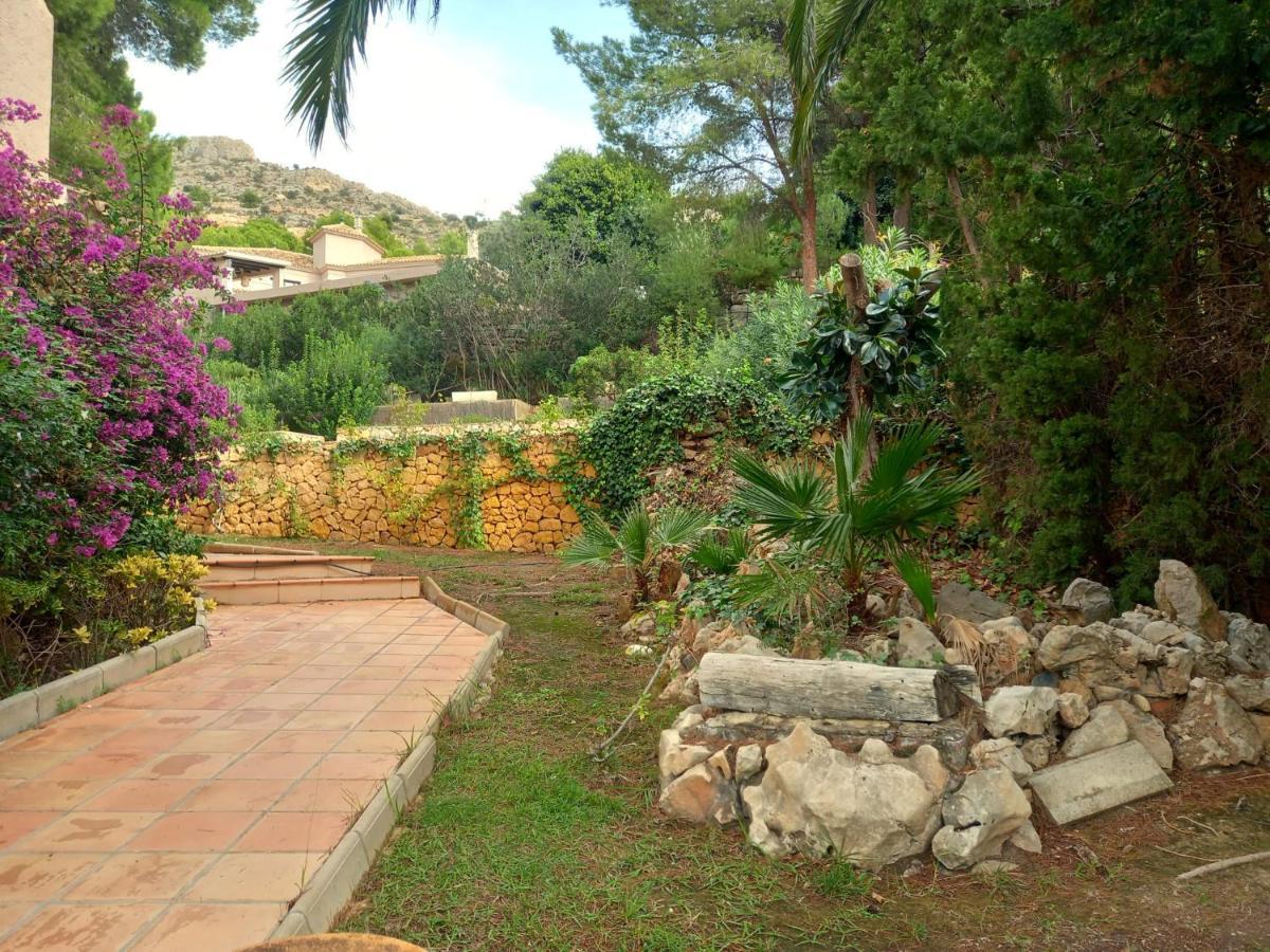 Alemania * Altea